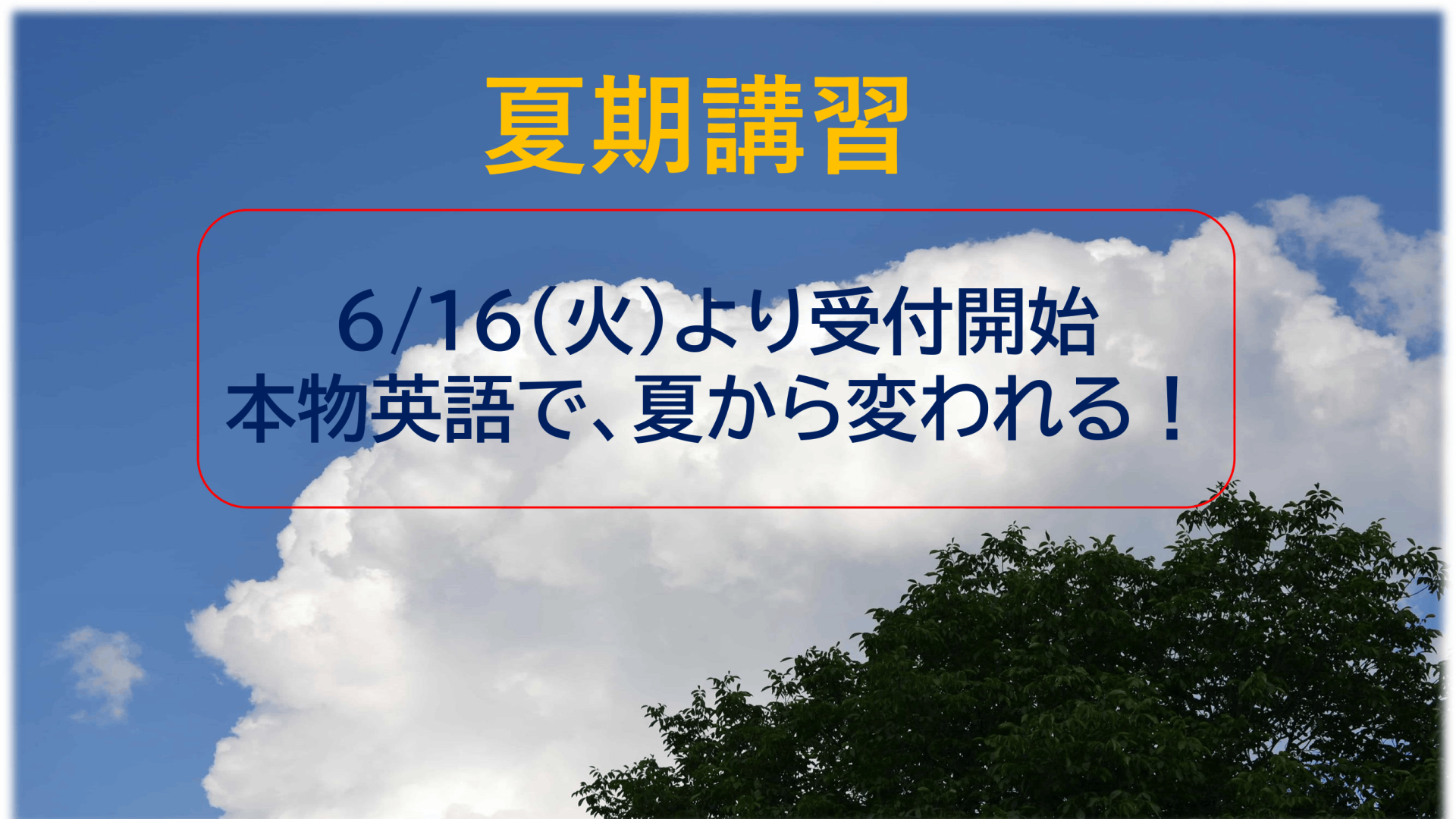 講座情報